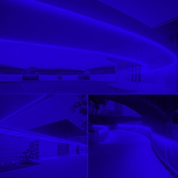 Neon Şerit Led 220v Esnek Dış Mekan, Bahçe, Açık Alan Dekoratif Aydınlatma Fişli 50 Metre - Mavi