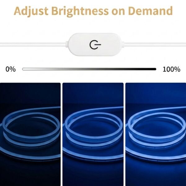 Neon Led Şerit Işık 5 Metre Dimmer Buton Dekoratif Ambiyans Aydınlatma Mavi