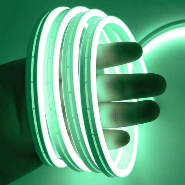 Neon Led Şerit Işık 5 Metre Dimmer Buton Dekoratif Ambiyans Aydınlatma Yeşil