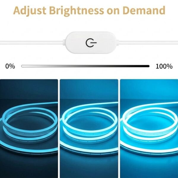 Neon Led Şerit Işık 5 Metre Dimmer Buton Dekoratif Ambiyans Aydınlatma Buz Mavi