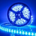 5050 Çip Silikonlu Şerit Led 24v Mavi 5 Metre