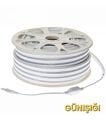 BRL Neon Led Gün Işığı 220v