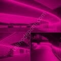 Neon Şerit Led 220v Esnek Dış Mekan, Bahçe, Açık Alan Dekoratif Aydınlatma Fişli 10 Metre - Pembe